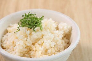 鯛だしご飯【北条鯛めし】(白米・マンナン米)